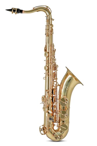 Kèn Saxophone Conn & Selmer TS650